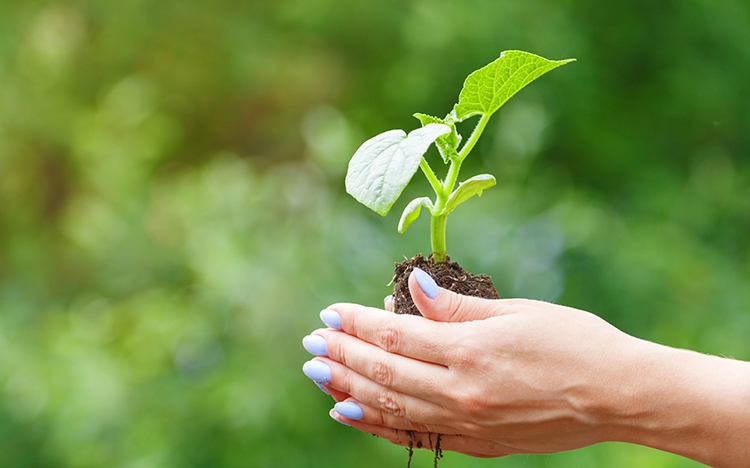 Tarım ve üretim alanlarında sigorta koruması